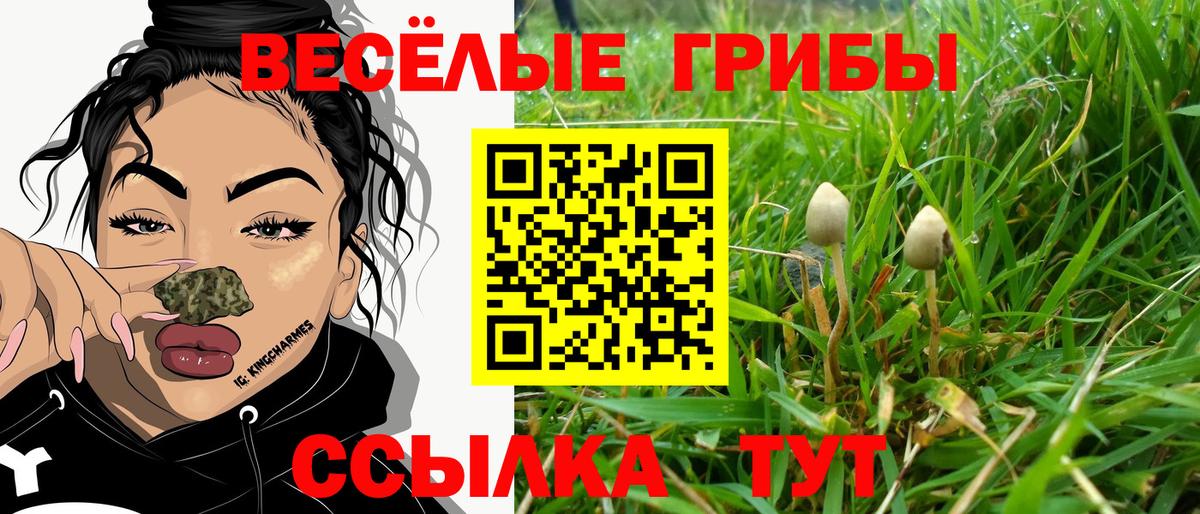 Мефедрон кристаллы  МДМА  Вход с VPN  ГАШ  Удомля  APVP СОЛЬ   Канабис  МЕТ 