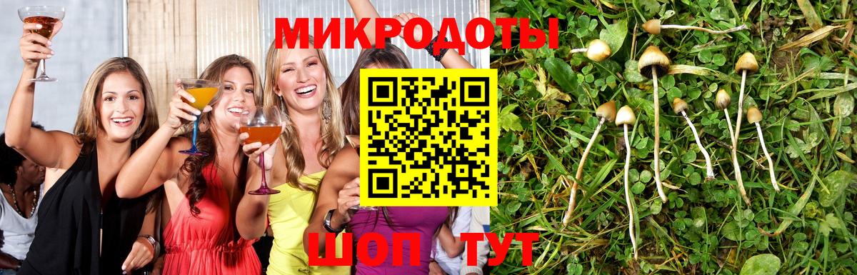 Псилоцибиновые грибы мицелий Удомля