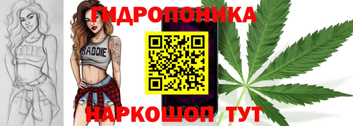 Шишки марихуана тримм  Бошки марихуана Amnesia  Марихуана индика  Удомля  МАРИХУАНА LSD WEED  Вход с VPN 